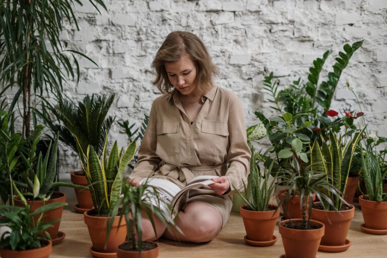 How to Move Plants Without Killing Them Safe Relocation